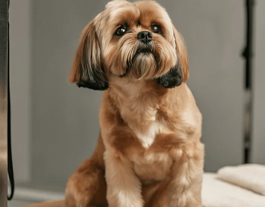 Название оказываемой услуги или специального предложения